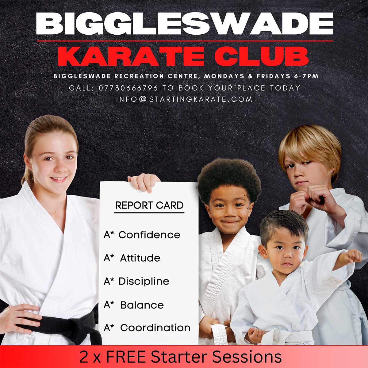 Biggleswade karate club